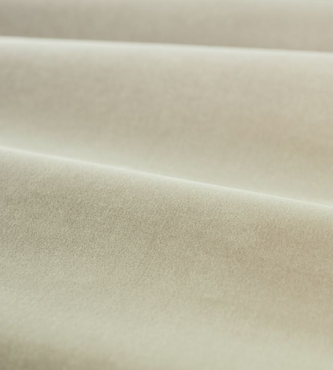Cotton Velvet Performance Fabric by Zoffany Platinum Grey