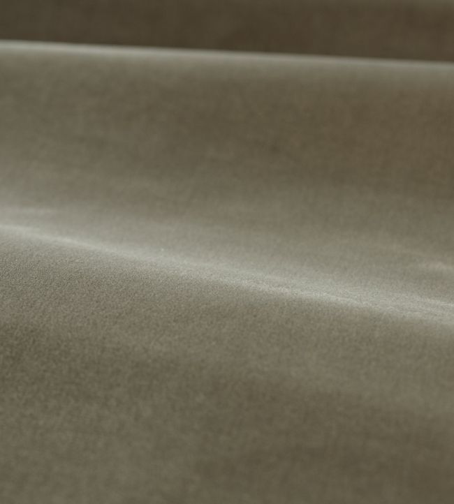 Cotton Velvet Performance Fabric by Zoffany Silver