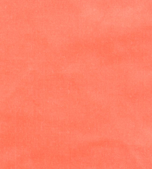 Cotton Velvet Fabric by Liberty Bloomer
