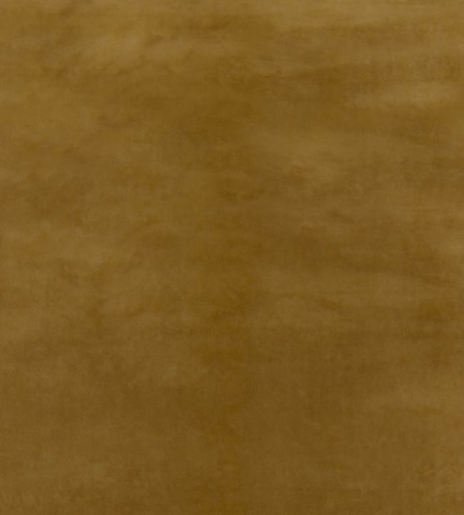 Court Velvet Fabric by GP & J Baker Soft Gold