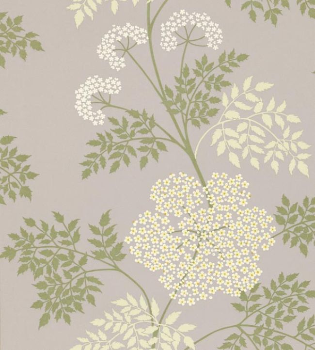 Cowparsley Wallpaper by Sanderson Amethyst