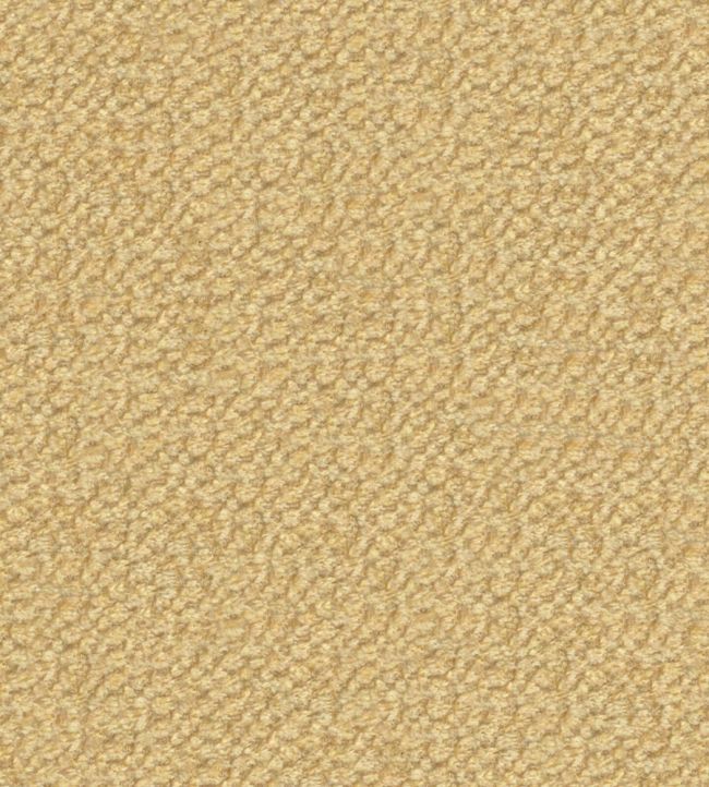 Cozy Fabric by Wemyss Biscotti