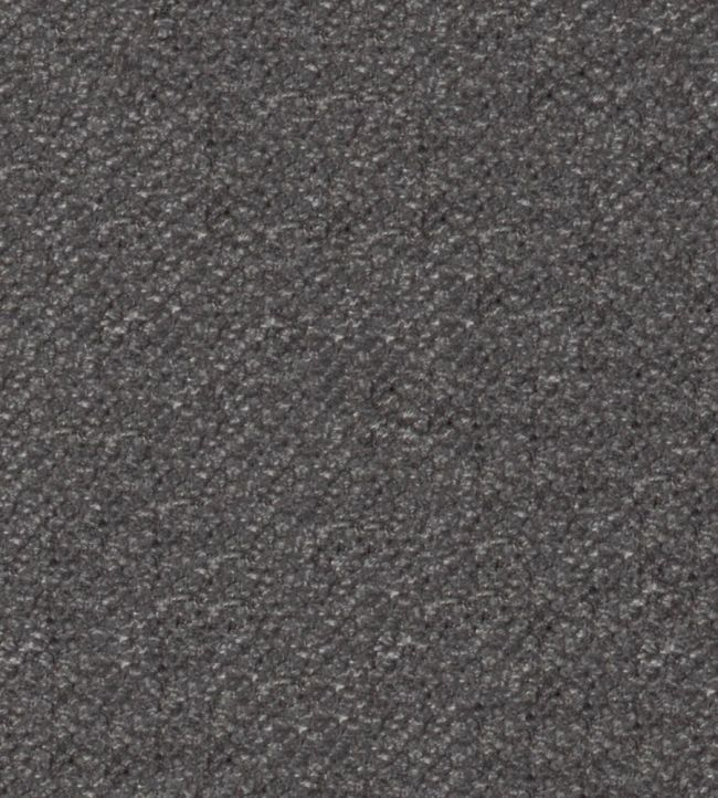Cozy Fabric by Wemyss Graphite