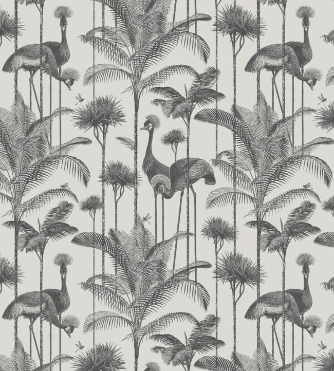 Crane Fonda Wallpaper by Divine Savages Charcoal