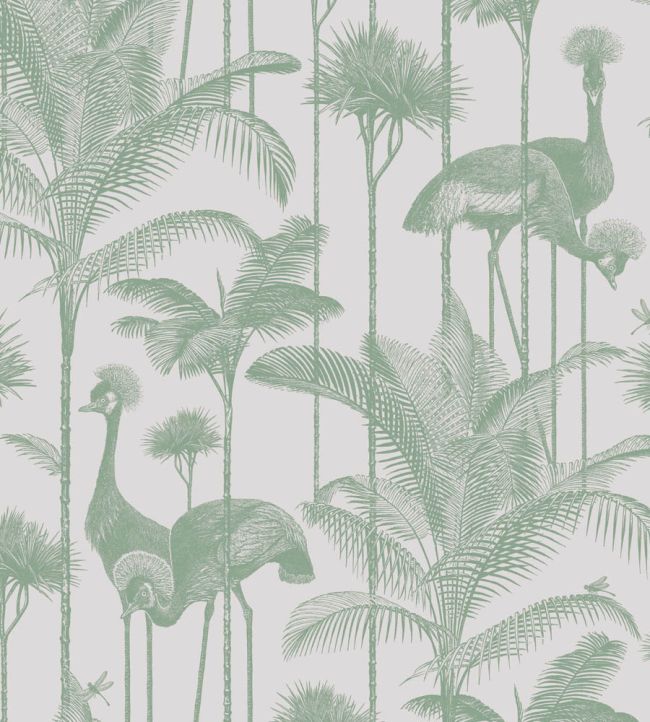 Crane Fonda Wallpaper by Divine Savages Palm Green