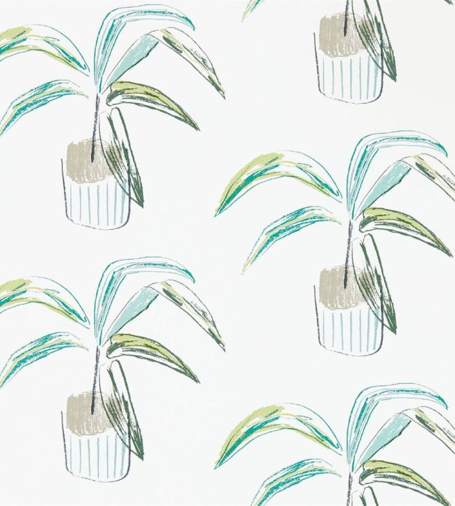 Crassula Wallpaper by Scion Juniper / Lime