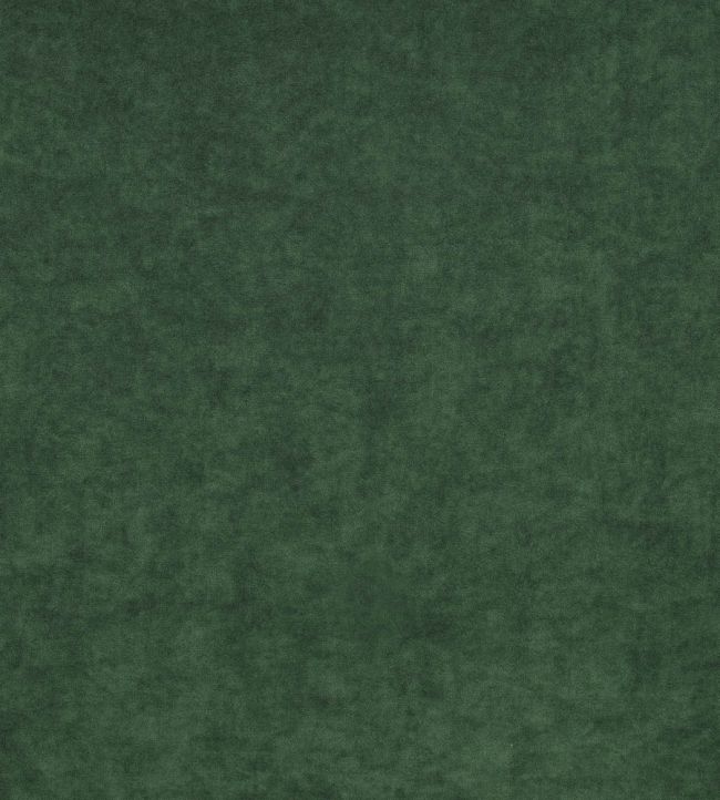 Crush FR Fabric by Kirkby Design Vine