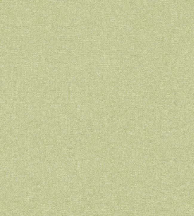 Cubby Wallpaper by GP & J Baker Cardamon