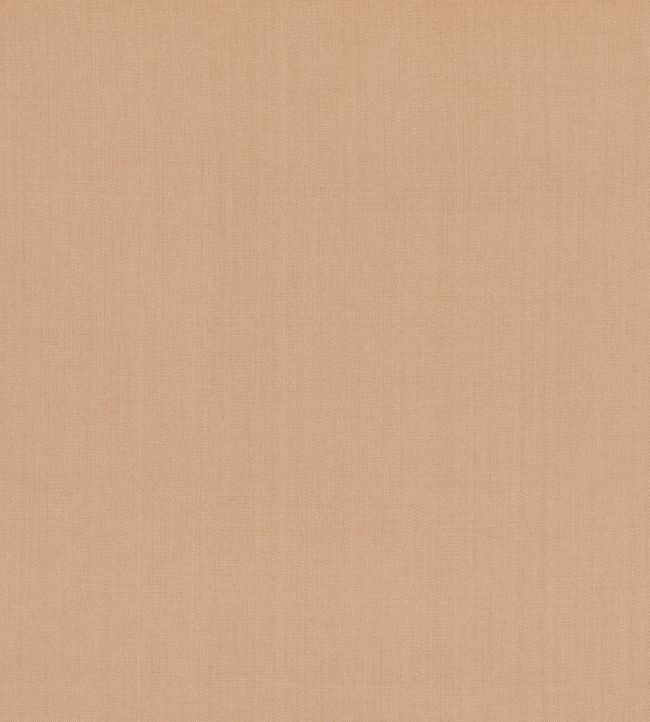 Cubby Fabric by GP & J Baker Desert