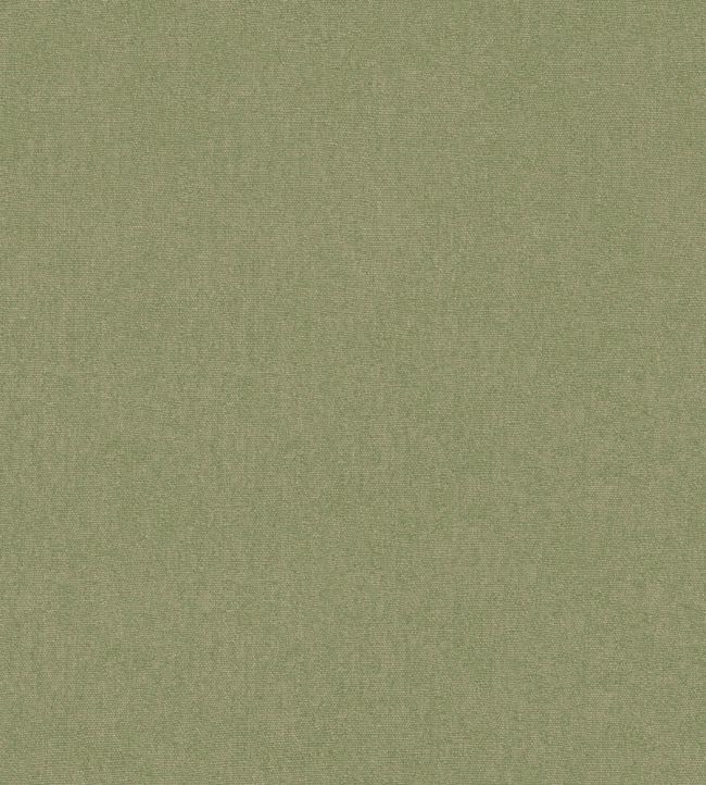 Cubby Wallpaper by GP & J Baker Grass