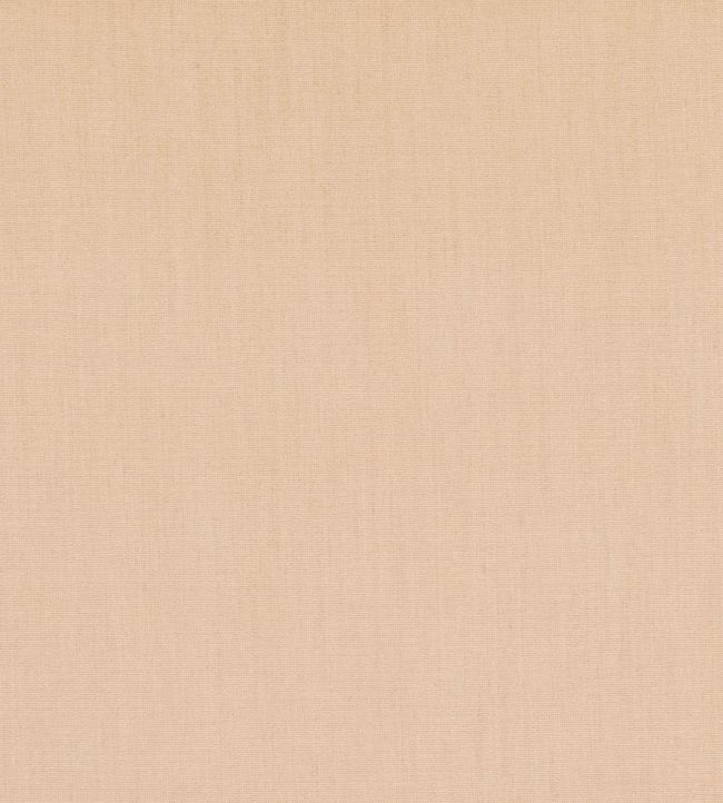 Cubby Fabric by GP & J Baker String