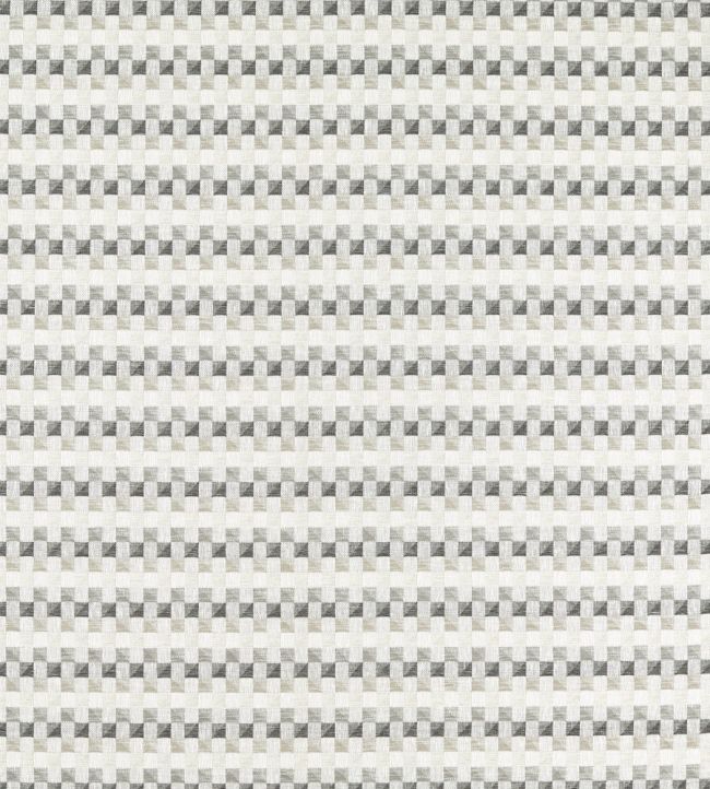 Cubus Fabric by Clarke & Clarke Dove