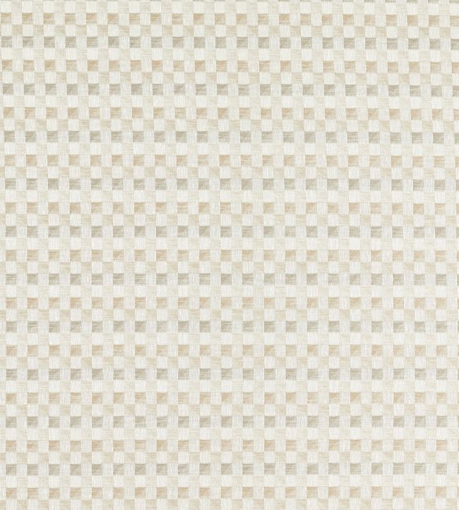 Cubus Fabric by Clarke & Clarke Linen
