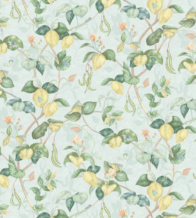 Cupani Wallpaper by Osborne & Little Aqua