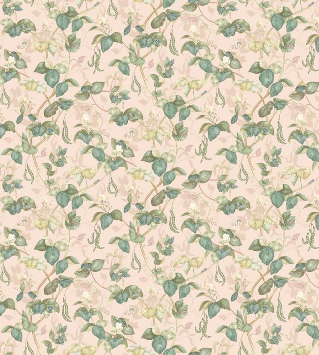 Cupani Fabric by Osborne & Little Blush