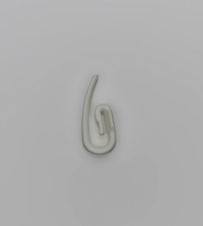 25 Curtain Hooks White
