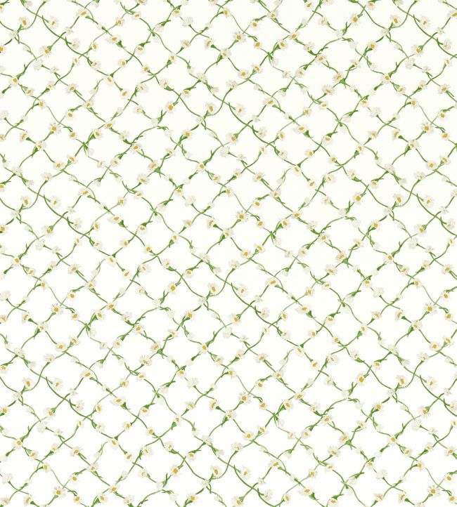 Daisy Trellis Fabric by Harlequin Emerald/Pearl
