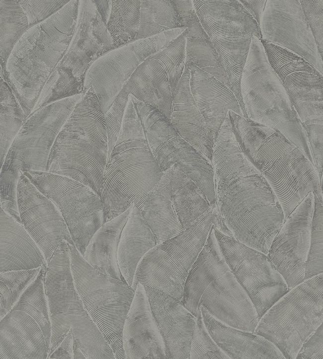 Daphne Wallpaper by Jannelli&Volpi Charcoal