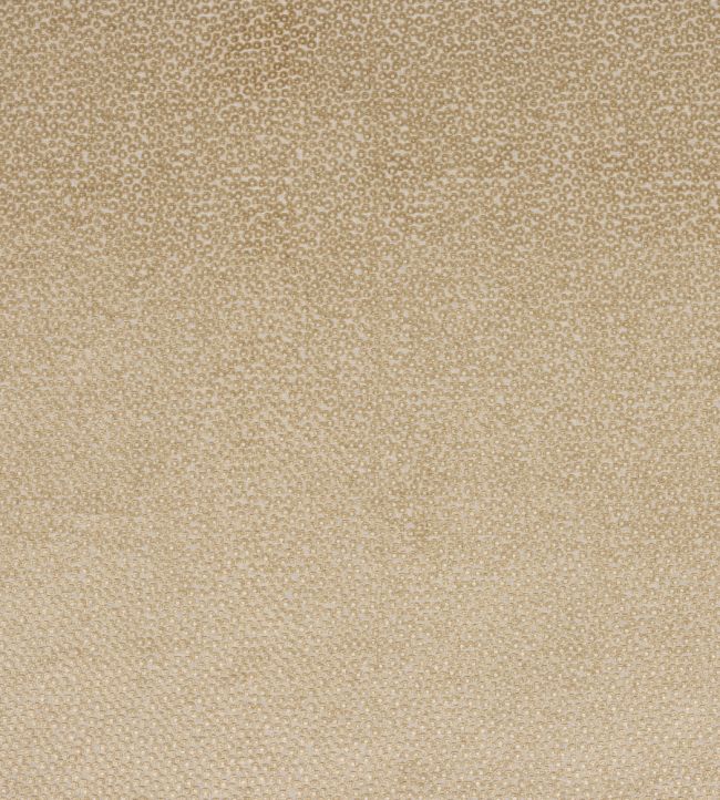 Darwin Fabric by Jane Churchill Beige