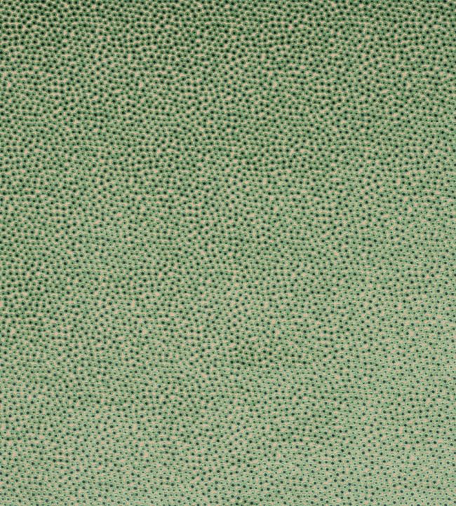 Darwin Fabric by Jane Churchill Green