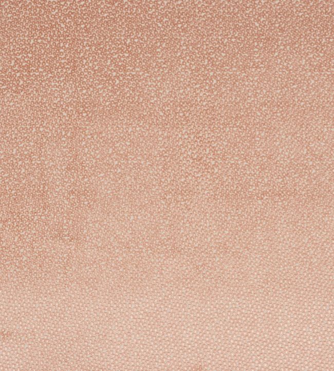 Darwin Fabric by Jane Churchill Pink