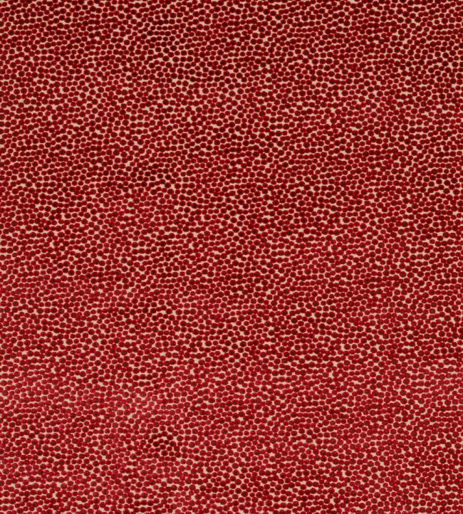 Darwin Fabric by Jane Churchill Red