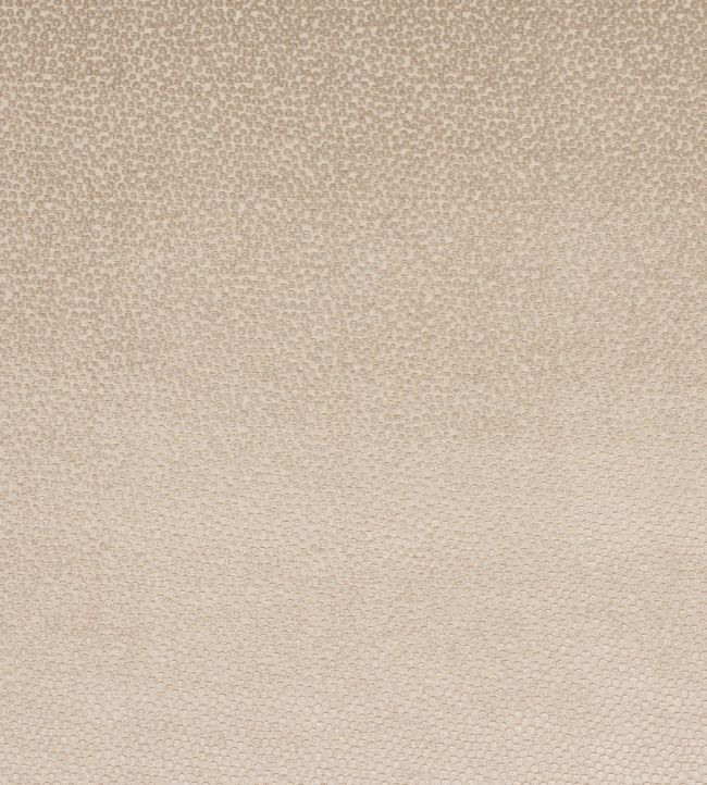 Darwin Fabric by Jane Churchill Stone