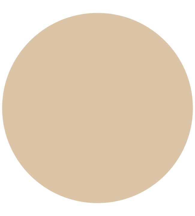 Deep Sung Cream 1829 Gloss Paint by Craig & Rose Deep Sung Cream
