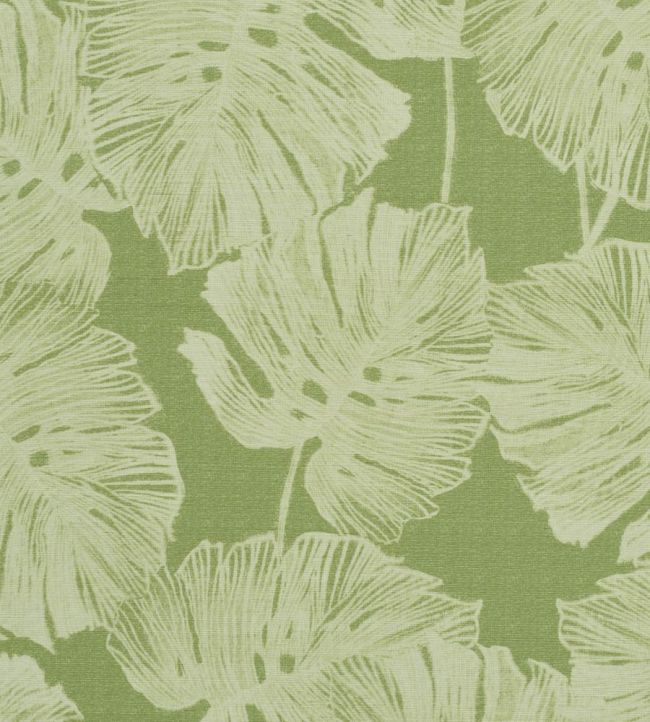 Del Coco Sisal Wallpaper by Schumacher Leaf