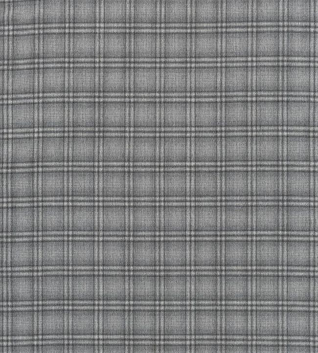 Delamere Fabric by Designers Guild Graphite