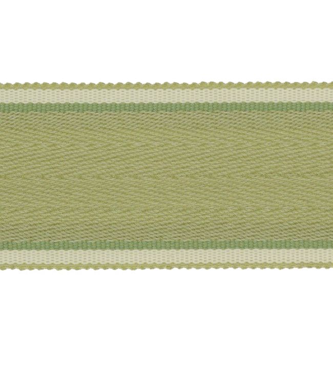 Delano Herringbone Braid Trimming by Colefax and Fowler Leaf