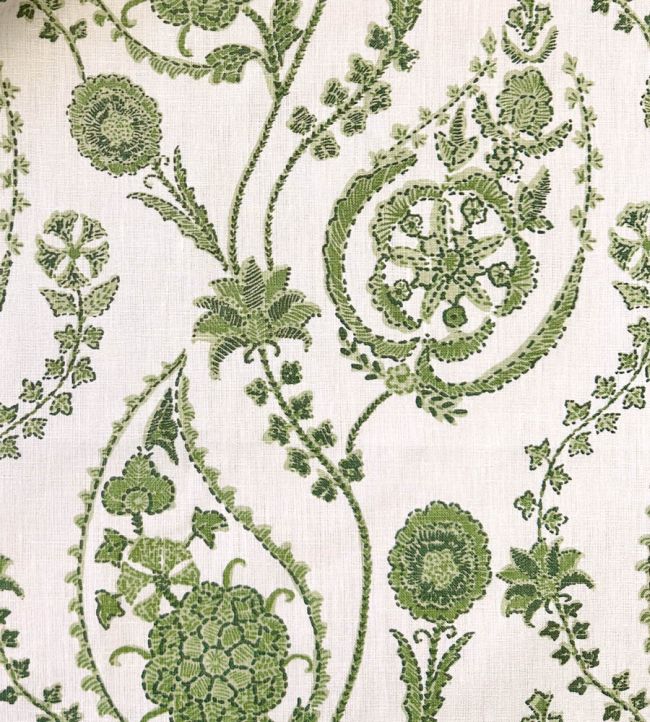 Delfyn Paisley Fabric by Ian Sanderson Parsley