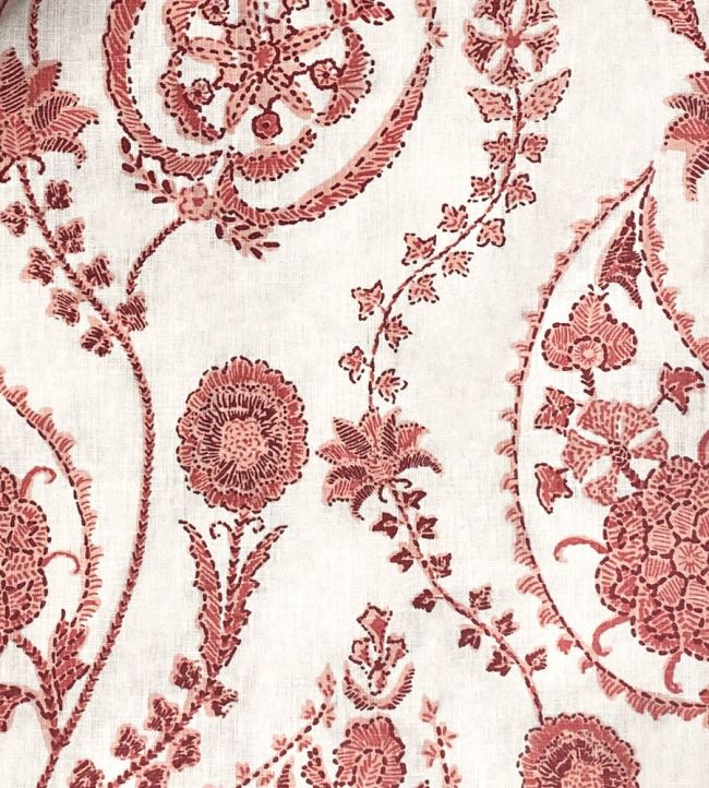 Delfyn Paisley Fabric by Ian Sanderson Sweet Rocket