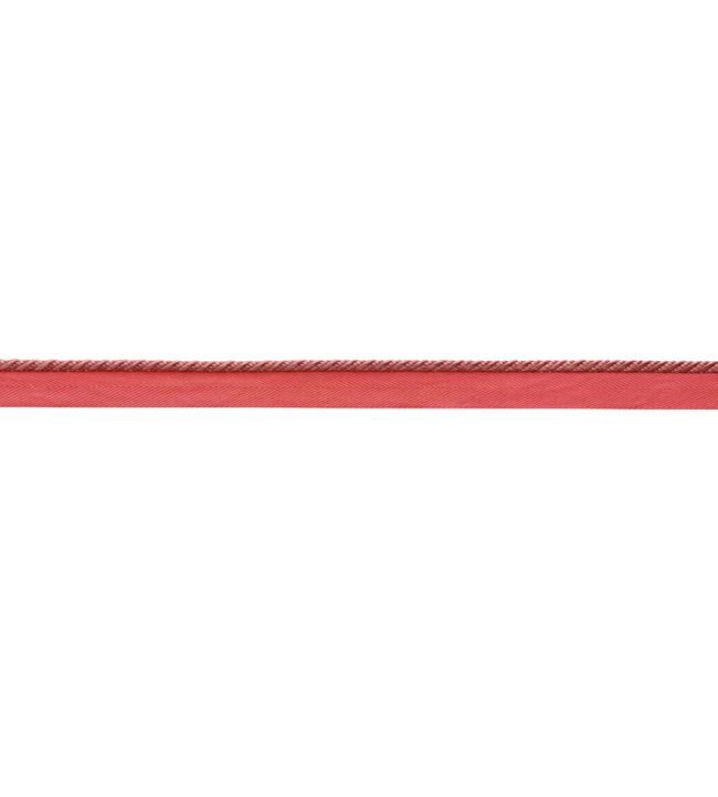 Delicat Silk Cord With Tape Trimming by Samuel & Sons Coral