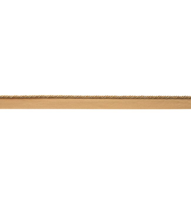 Delicat Silk Cord With Tape Trimming by Samuel & Sons Gold