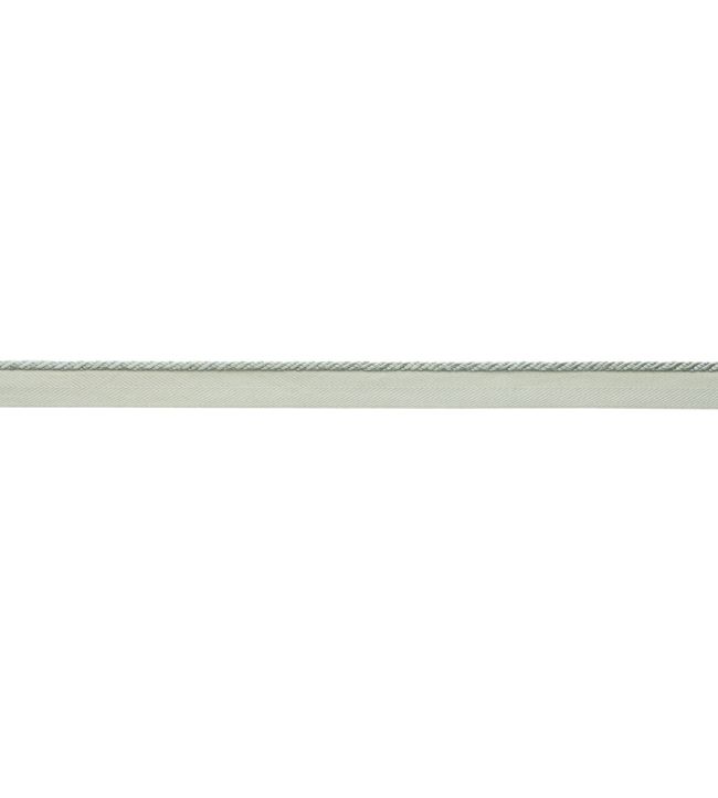 Delicat Silk Cord With Tape Trimming by Samuel & Sons Honeydew