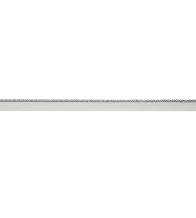 Delicat Silk Cord With Tape Trimming by Samuel & Sons Platinum