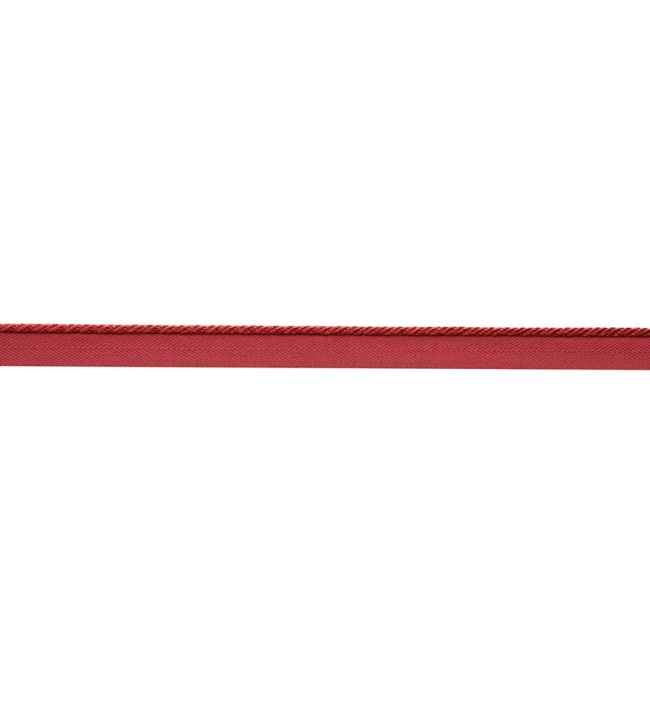 Delicat Silk Cord With Tape Trimming by Samuel & Sons Poppy