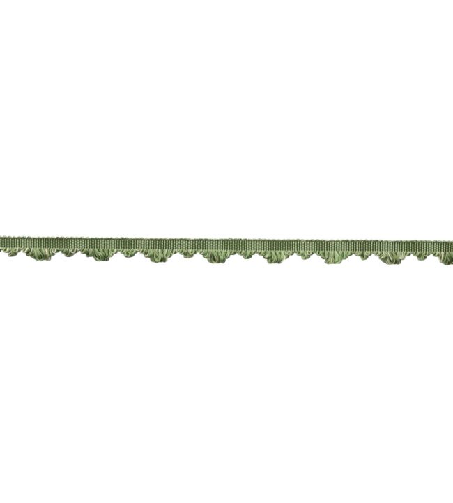 Delicat Silk Fan Edge Trimming by Samuel & Sons Basil