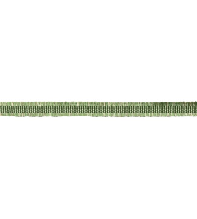 Delicat Silk Gimp Trimming by Samuel & Sons Basil