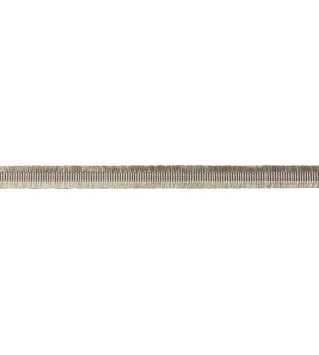 Delicat Silk Gimp Trimming by Samuel & Sons Pewter