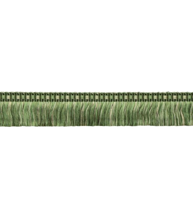 Delicat Silk Moss Fringe Trimming by Samuel & Sons Basil