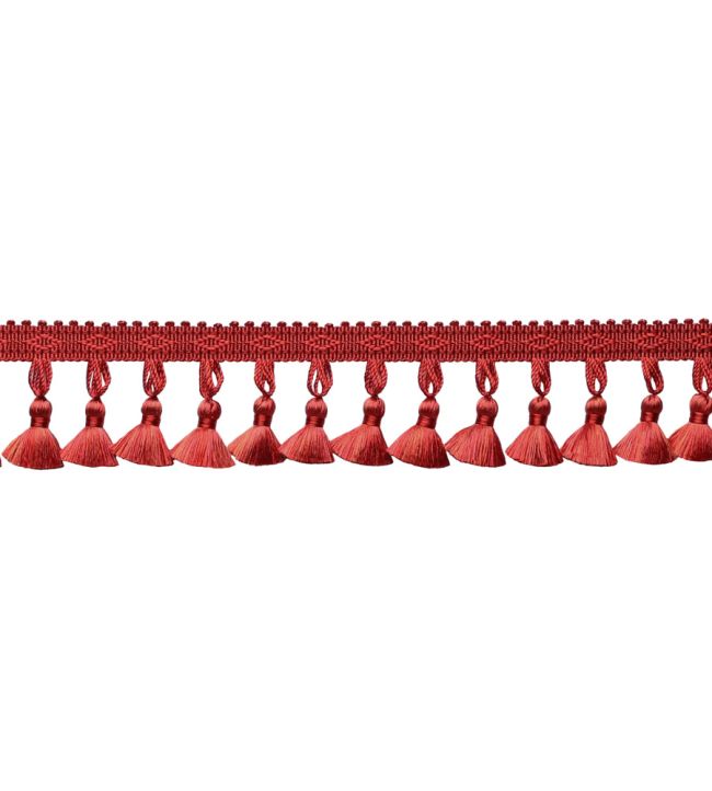 Delicat Silk Tassel Fringe Trimming by Samuel & Sons Poppy