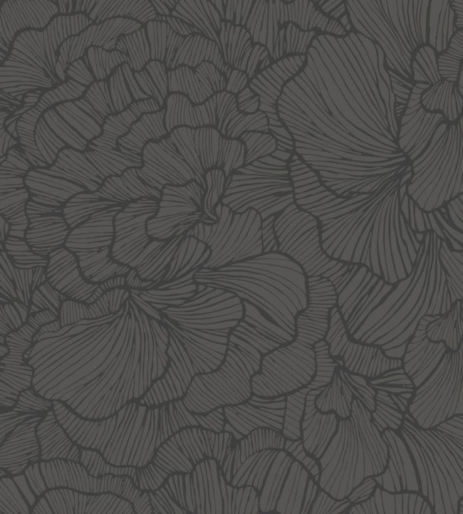 Delicate Petals Wallpaper by Caselio Noir
