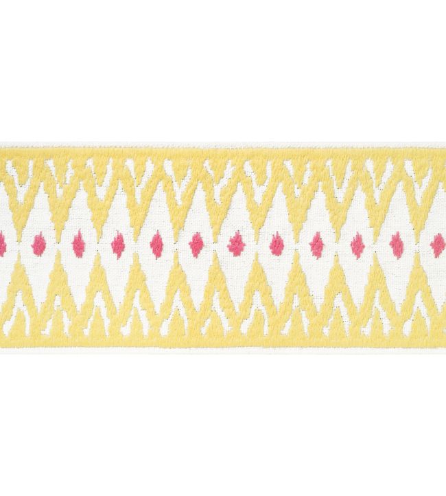 Delmont Tape Trimming by Thibaut Sunshine