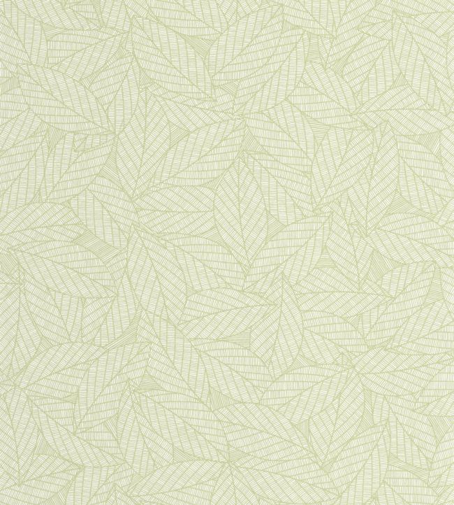 Delora Wallpaper by Caselio Vert amande