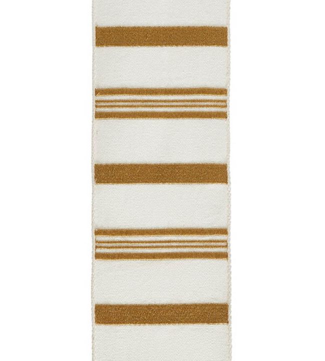 Delos Embroidered Braid 80mm Trimming by Houles 9100