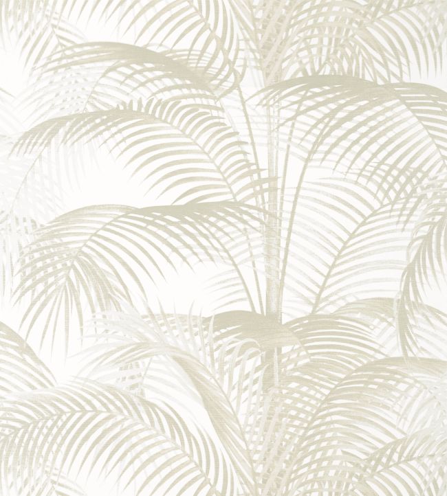 Delray Wallpaper by Thibaut Pearl