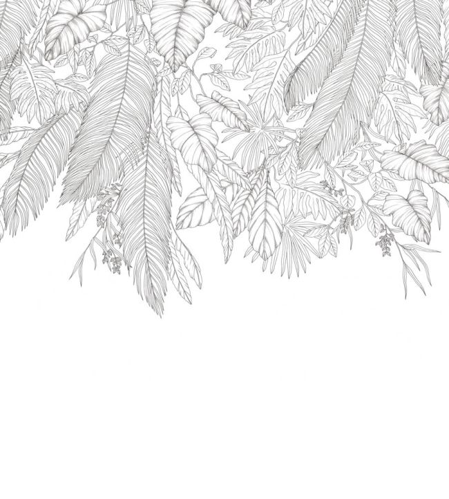 Descendant Jungle Mural by Caselio Noir et blanc