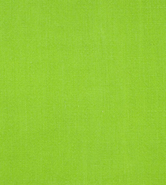Brera Lino Fabric by Designers Guild Leaf